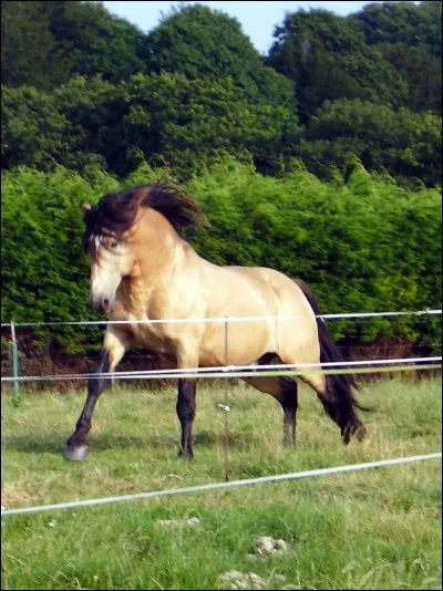 Quelle est cette robe ?