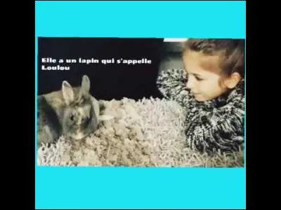 Comment s'appelle le lapin d'Erza ?