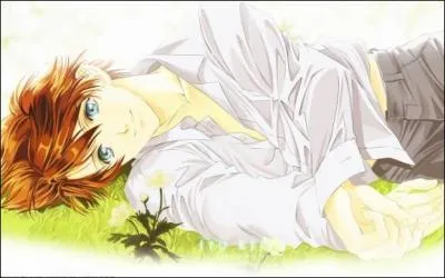 A quel manga correspond l'image ?