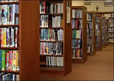 Chez vous, comment est rangé votre collection de livres ?