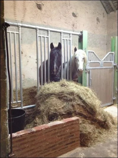 La litière doit être :