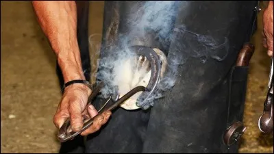 Le renouvellement de la ferrure doit se faire tous les :