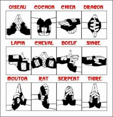 Quels sont les signes pour la technique du dragon  queue ?