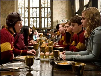 Dans "Harry Potter et le prince de sang mêlé", que fait Hermione pour aider Ron à devenir gardien dans l'équipe de Quidditch de Gryffondor ?