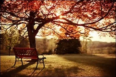 Combien de temps s'assoit-il sur un banc avec elle ?