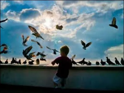 À qui donne-t-il à manger ?