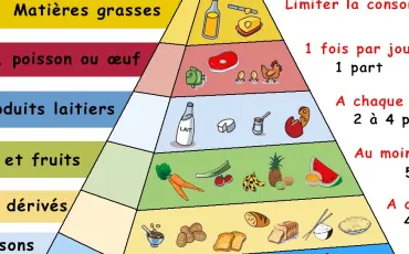 Quiz Vocabulaire