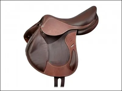 Quelles parties appartiennent à la selle ?