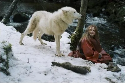 Quel est le titre du roman de Misha Defonseca où une jeune fille qui fuit les horreurs de la Seconde Guerre Mondiale va être adoptée par une bande de loups ?