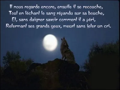 Quel écrivain a évoqué un loup restant stoïque devant sa mort inéluctable dans le poème "La mort du loup" ?