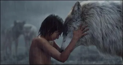 Dans "Le livre de la jungle" de Rudyard Kipling, comment s'appelle la louve grise, mère adoptive de Mowgli ?