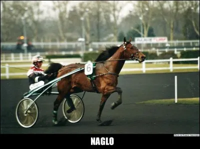 Quel cheval a déjà réussi l'exploit de courir sous la barre des 70 secondes de réduction kilométrique à Vincennes ?