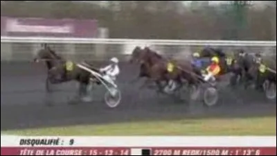 Parmi ces chevaux, lequel a gagné le plus de Prix d'Amérique ?