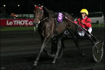 Qu'est-ce qui ne peut pas correspondre à une musique de Bold Eagle ? (février 2017)