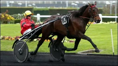 Sur quelle réduction kilométrique Bold Eagle a-t-il remporté le Critérium Continental 2015 ?