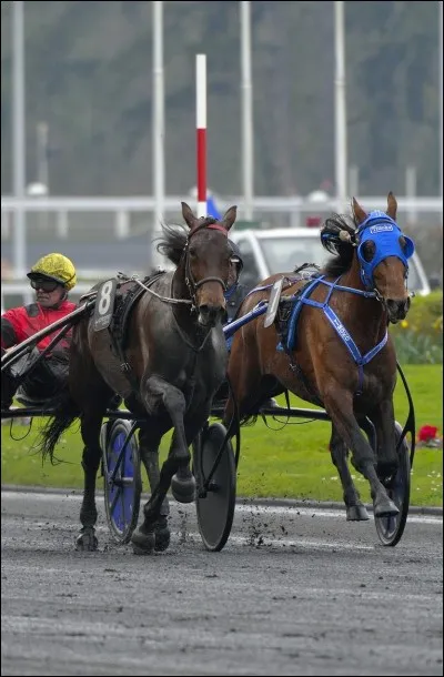 Qui a terminé 8ème du Prix d'Amérique 2016 et 2017 ?