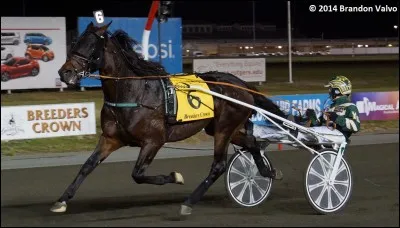 L'édition 1989 de l'Hambletonian Stakes aux Etats-Unis est marquée par un dead-heat entre Park Avenue Joe et...