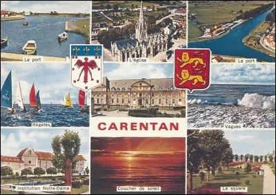 Qui a remporté le Prix du début sur l'hippodrome de Carentan le 5 août 1981 lors de ses débuts ?