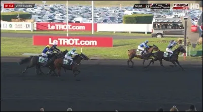 Qui a gagné le Prix de Cornulier 2017 ?