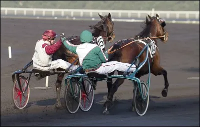 Quelle était l'arrivée du Prix d'Amérique Marionnaud 2012 ?