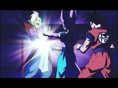 Qui détruit Zamasu du présent ?