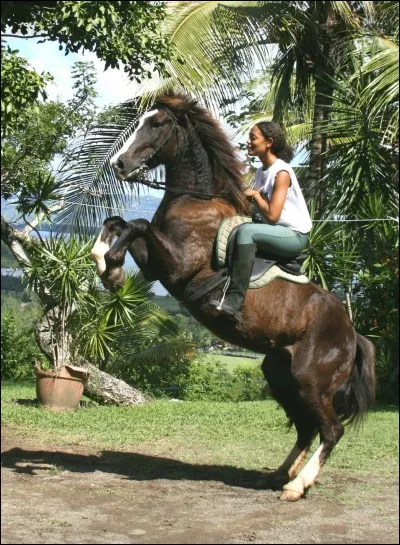 Quelles sont les activités devant être pratiquées dans le CCE ?