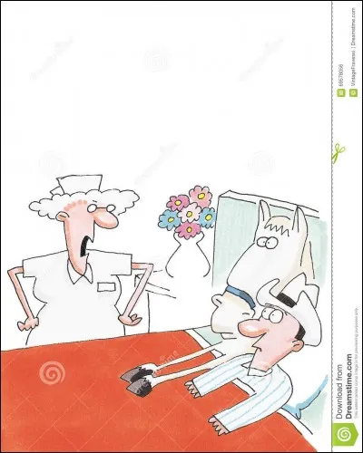 Que se passe-t-il quand on lave sous le ventre du cheval ?