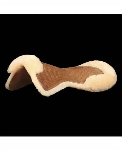 Quel amortisseur est préférable pour le dos du cheval ?