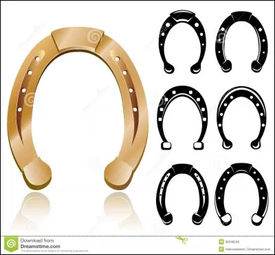 Comment est placé un fer orthopédique ?