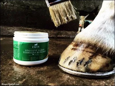 Quelle graisse permet de fortifier le sabot ?