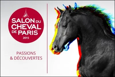 Avec des chevaux de quelle race fait-on un championnat au salon du cheval ?