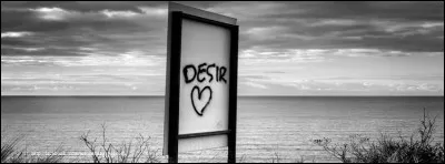 Qui a dit : "Le verbe aimer est difficile à conjuguer : son passé n'est pas simple, son présent n'est qu'indicatif, et son futur est toujours conditionnel." ?