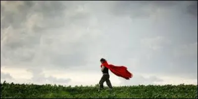 Selon l'expression, quels animaux peuvent être "décornés" quand un vent souffle violemment ?