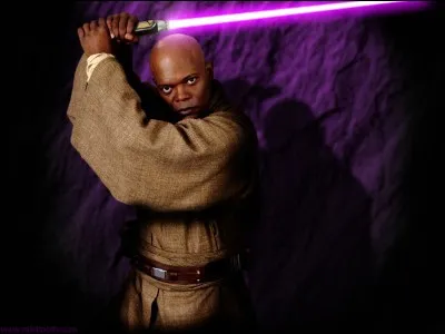 Qui a tué Mace Windu ?