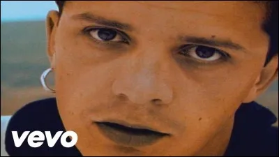 Quel est le clip représenté sur la photo ?