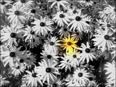 A qui sont les paroles "Petite foule danse autour d'un corps s'endormant, douceur immense pour le départ d'un parent" ?