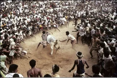 C'est dans sa chanson "La corrida" que l'on entend "Soudain la foule crie comme pour un éclipse, cyclone de folie, remous d'Apocalypse" :