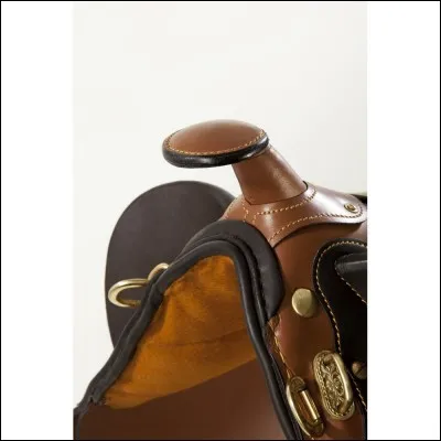 Comment s'appelle la partie devant la selle western, voltige, ou autre ?
