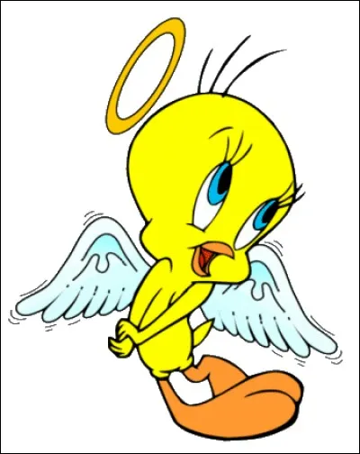 Qui veut manger le canari Titi ?