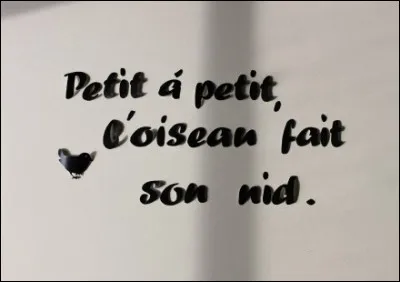 Que signifie l'expression "petit à petit, l'oiseau fait son nid" ?