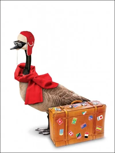 Que sont les snowbirds ?