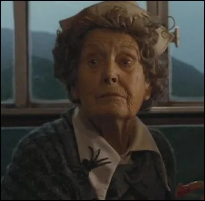 Depuis combien de temps la sorcière aux bonbons fait-elle ce travail ?