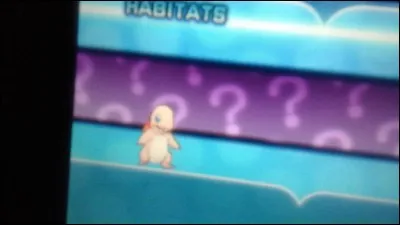 En quoi évolue Salamèche ?