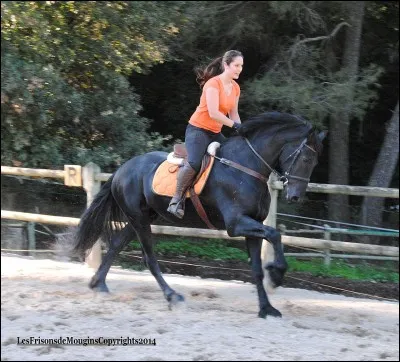 Quelle est cette allure ?