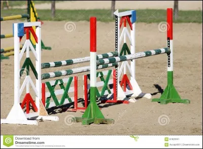 Quel est le nom de cet obstacle ?