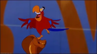 A qui Iago appartient-il ?