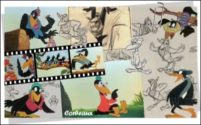 Dans quel film peut-on voir ces corbeaux ?