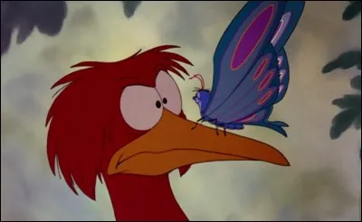 Quelle est l'espèce de cet oiseau, Piqueur ?