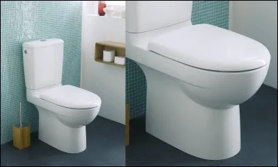 Cochez l'oiseau s'associant bien avec l'image !