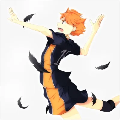 Qui est le seiyuu d'Hinata Shoyo ?